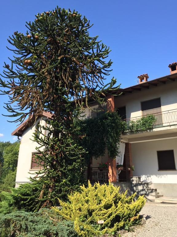 La Casa Creativa Bed & Breakfast Lomnago Exterior foto